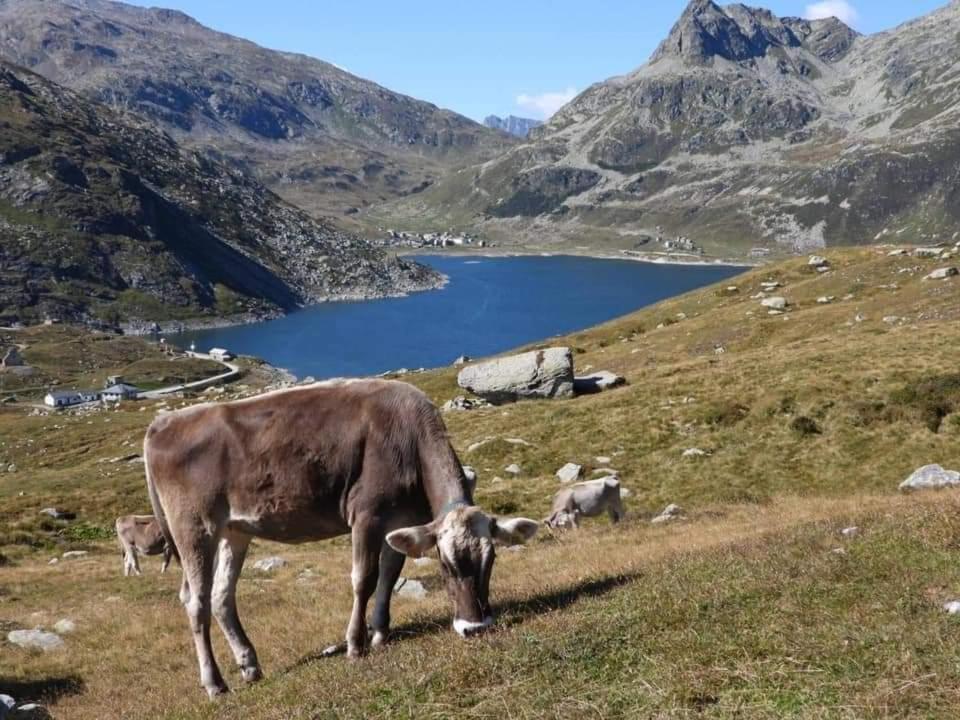 Mansarda Vista Lago A Campodolcino Exterior photo